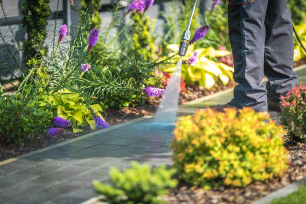 Best Fence Cleaning  in Stromsburg, NE